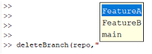 deleteBranch command in the Command Window with tab completion applied on the branch name argument. Tab completion lists three local branches.