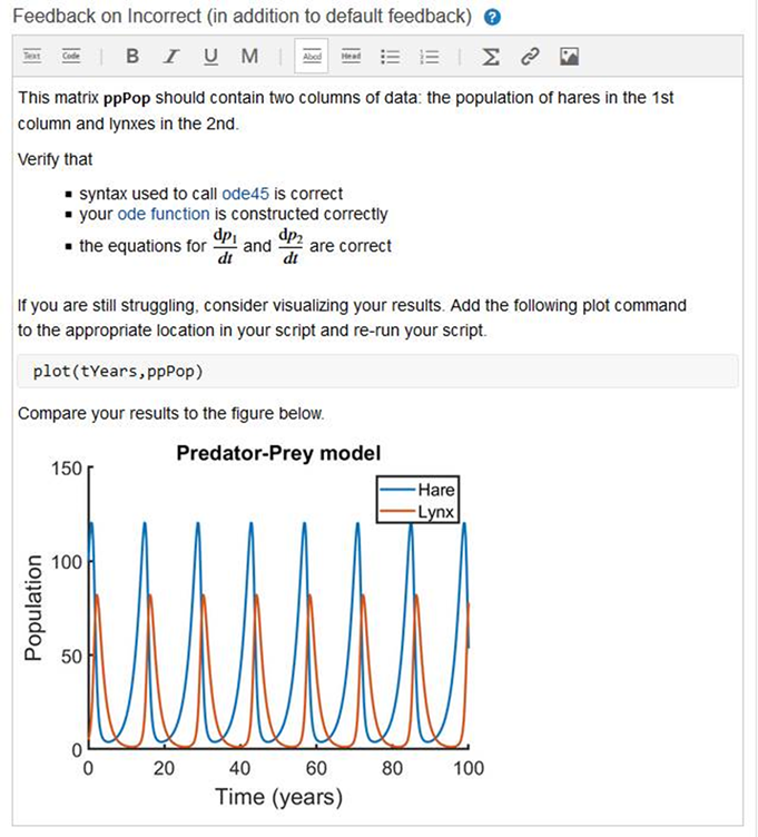 Image showing additional feedback written by the instructor