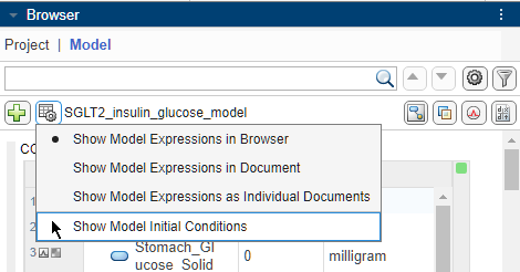 Drop down menu option to show initial conditions