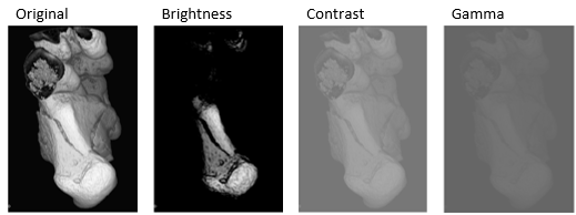 From left to right, the figure shows the original image with random adjustments to the brightness, contrast, and gamma correction.