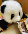 Tianyi