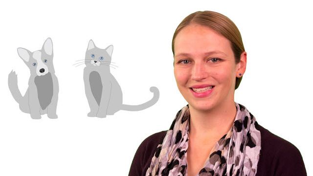 Descubra las diferencias entre Deep Learning y Machine Learning en esta charla técnica de MATLAB. Observe varios ejemplos y descubra cómo elegir el método adecuado.